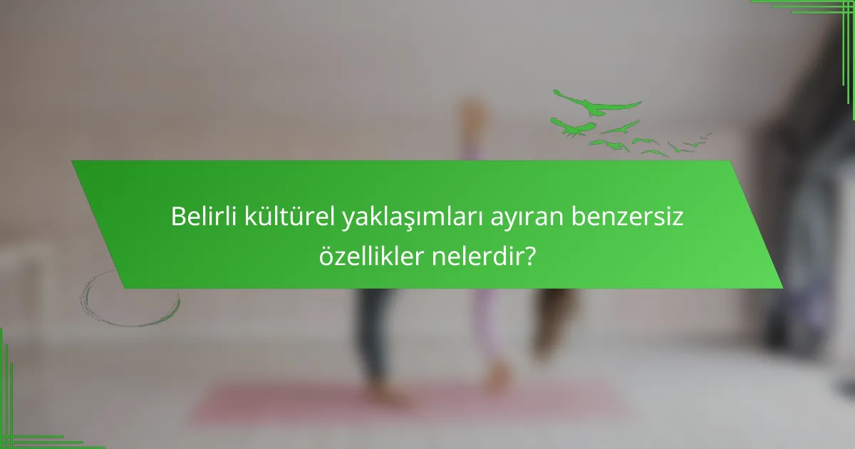 Belirli kültürel yaklaşımları ayıran benzersiz özellikler nelerdir?