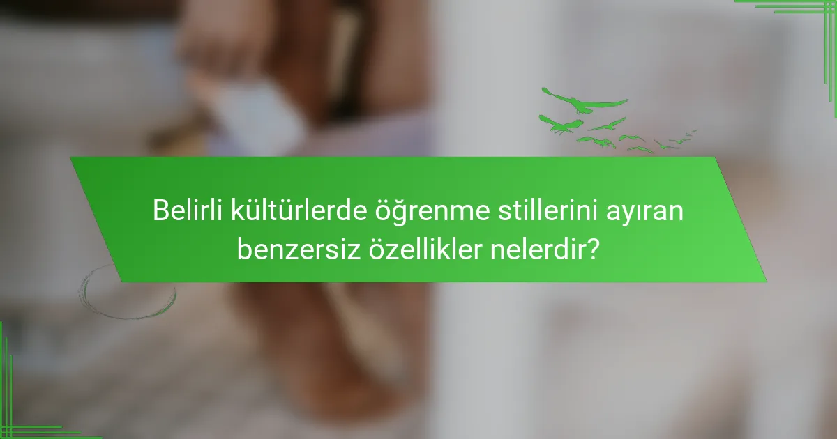 Belirli kültürlerde öğrenme stillerini ayıran benzersiz özellikler nelerdir?