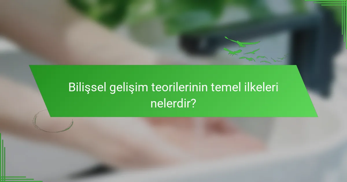 Bilişsel gelişim teorilerinin temel ilkeleri nelerdir?