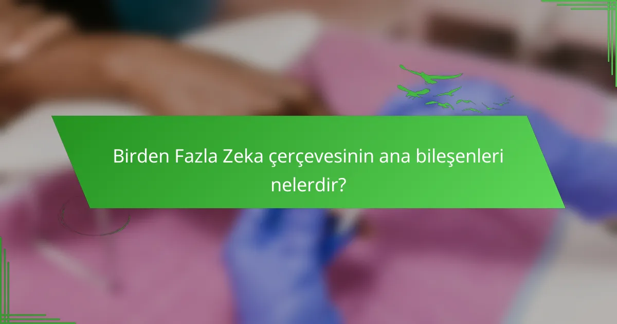 Birden Fazla Zeka çerçevesinin ana bileşenleri nelerdir?