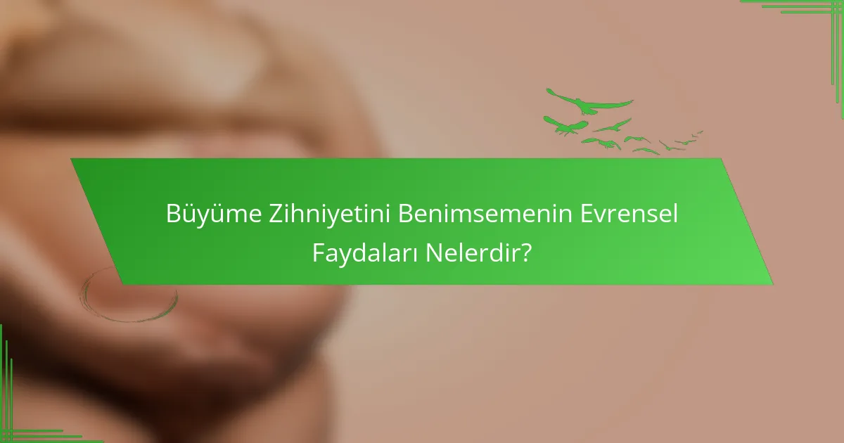 Büyüme Zihniyetini Benimsemenin Evrensel Faydaları Nelerdir?