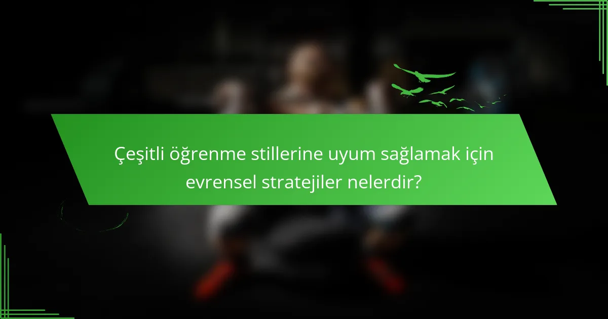 Çeşitli öğrenme stillerine uyum sağlamak için evrensel stratejiler nelerdir?