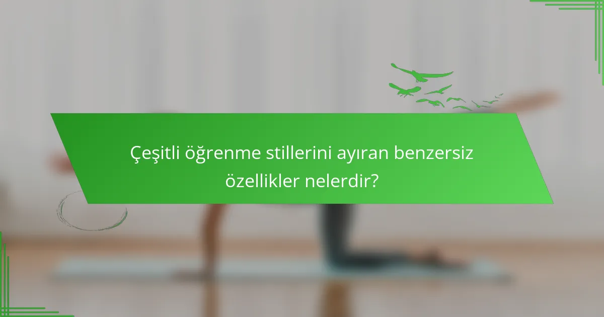 Çeşitli öğrenme stillerini ayıran benzersiz özellikler nelerdir?