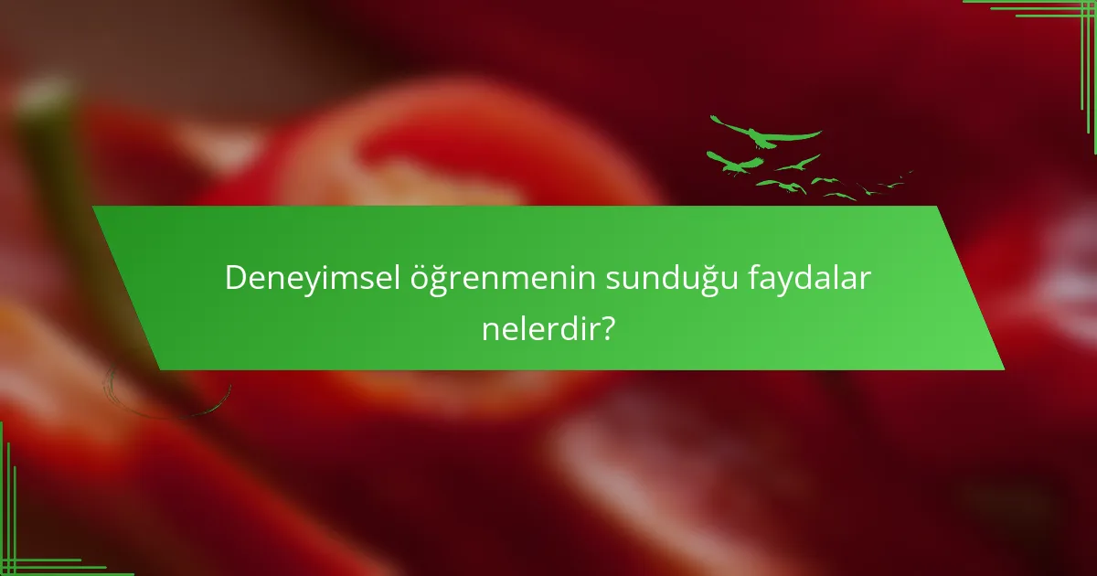 Deneyimsel öğrenmenin sunduğu faydalar nelerdir?