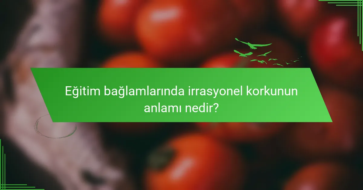 Eğitim bağlamlarında irrasyonel korkunun anlamı nedir?
