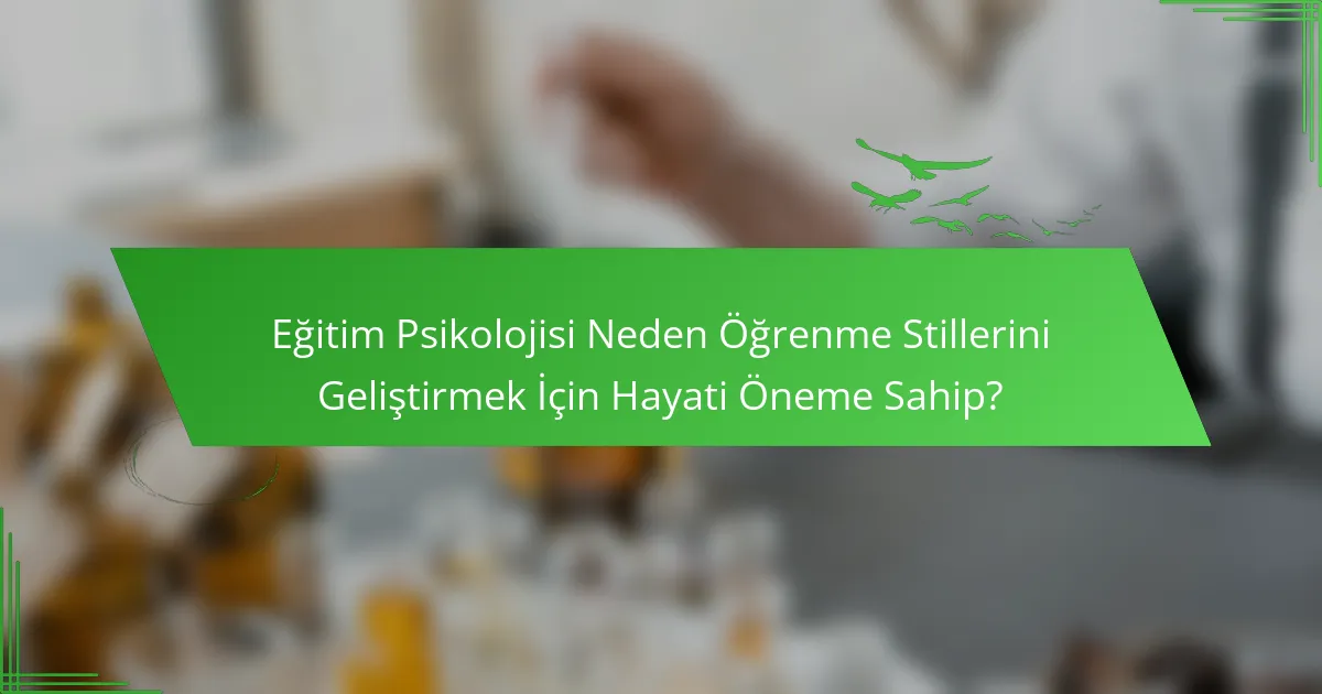 Eğitim Psikolojisi Neden Öğrenme Stillerini Geliştirmek İçin Hayati Öneme Sahip?