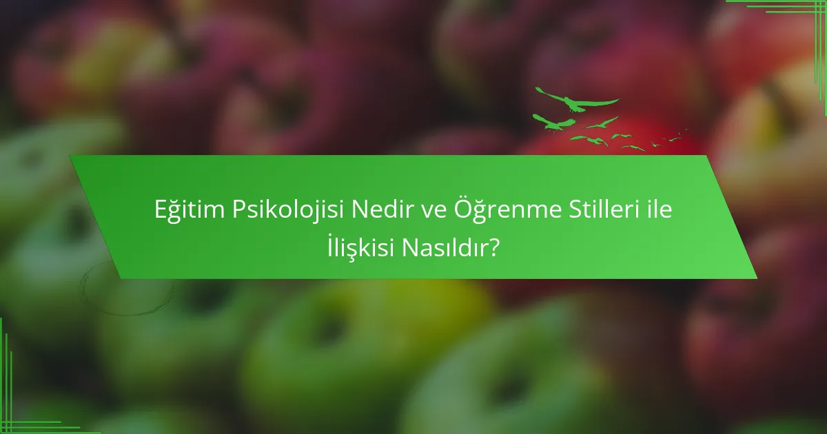 Eğitim Psikolojisi Nedir ve Öğrenme Stilleri ile İlişkisi Nasıldır?
