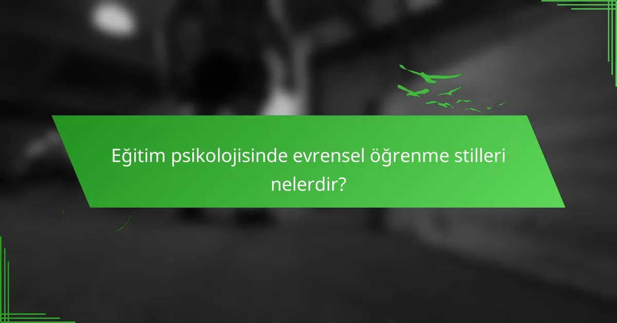 Eğitim psikolojisinde evrensel öğrenme stilleri nelerdir?