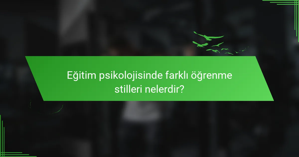 Eğitim psikolojisinde farklı öğrenme stilleri nelerdir?