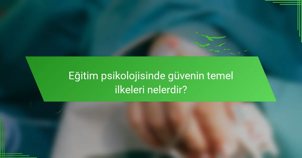 Eğitim psikolojisinde güvenin temel ilkeleri nelerdir?