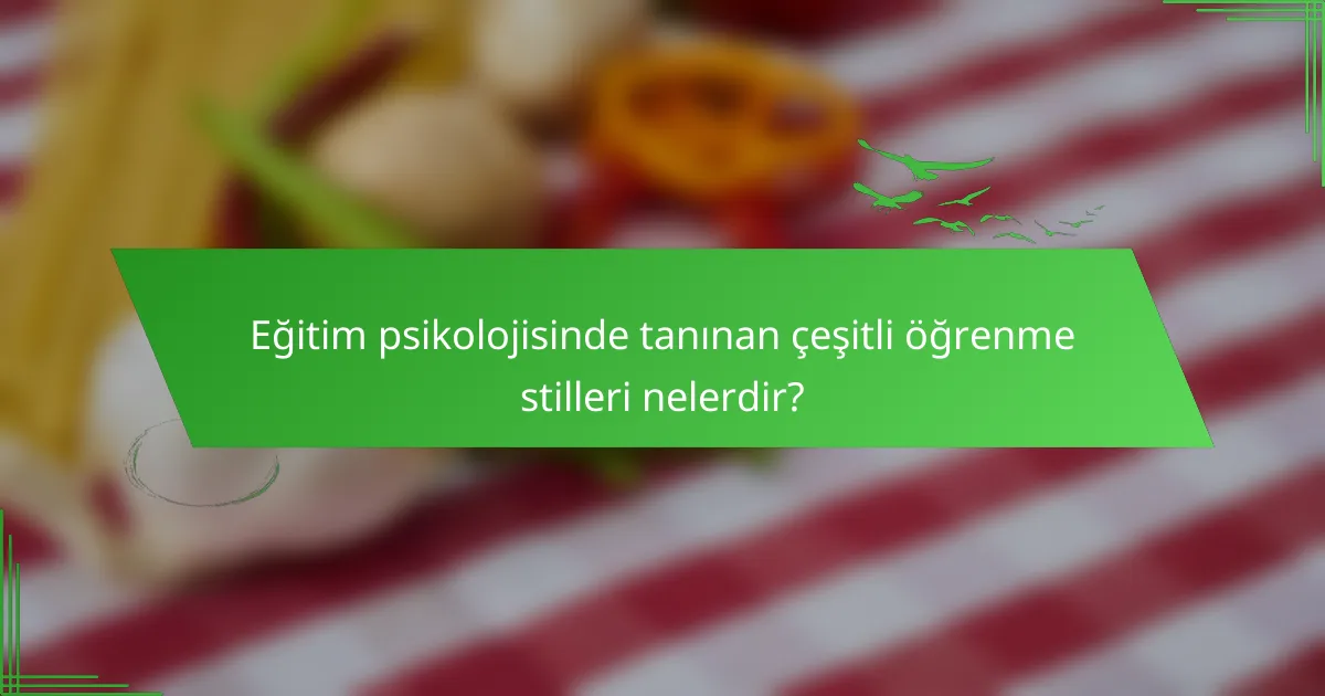 Eğitim psikolojisinde tanınan çeşitli öğrenme stilleri nelerdir?