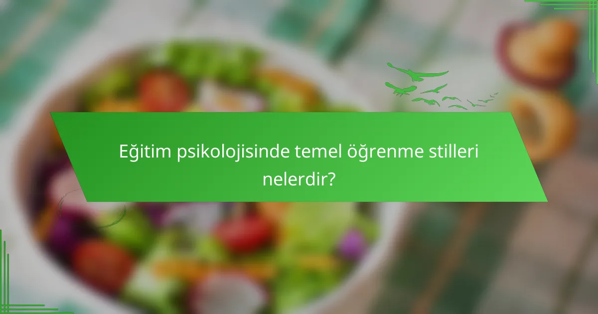 Eğitim psikolojisinde temel öğrenme stilleri nelerdir?