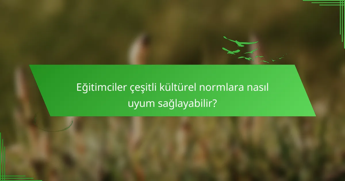 Eğitimciler çeşitli kültürel normlara nasıl uyum sağlayabilir?