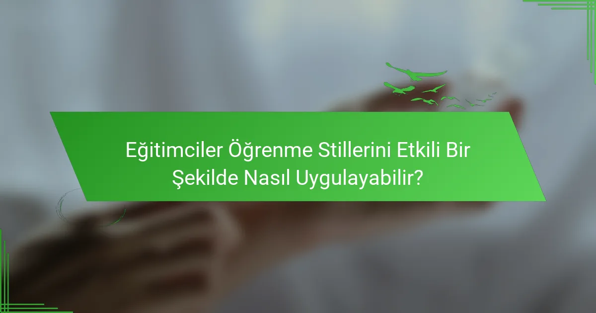 Eğitimciler Öğrenme Stillerini Etkili Bir Şekilde Nasıl Uygulayabilir?