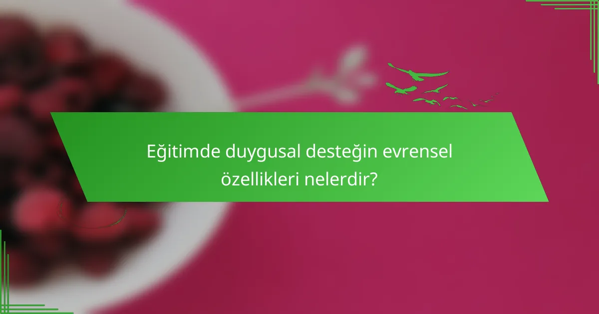 Eğitimde duygusal desteğin evrensel özellikleri nelerdir?