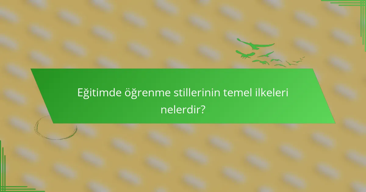 Eğitimde öğrenme stillerinin temel ilkeleri nelerdir?
