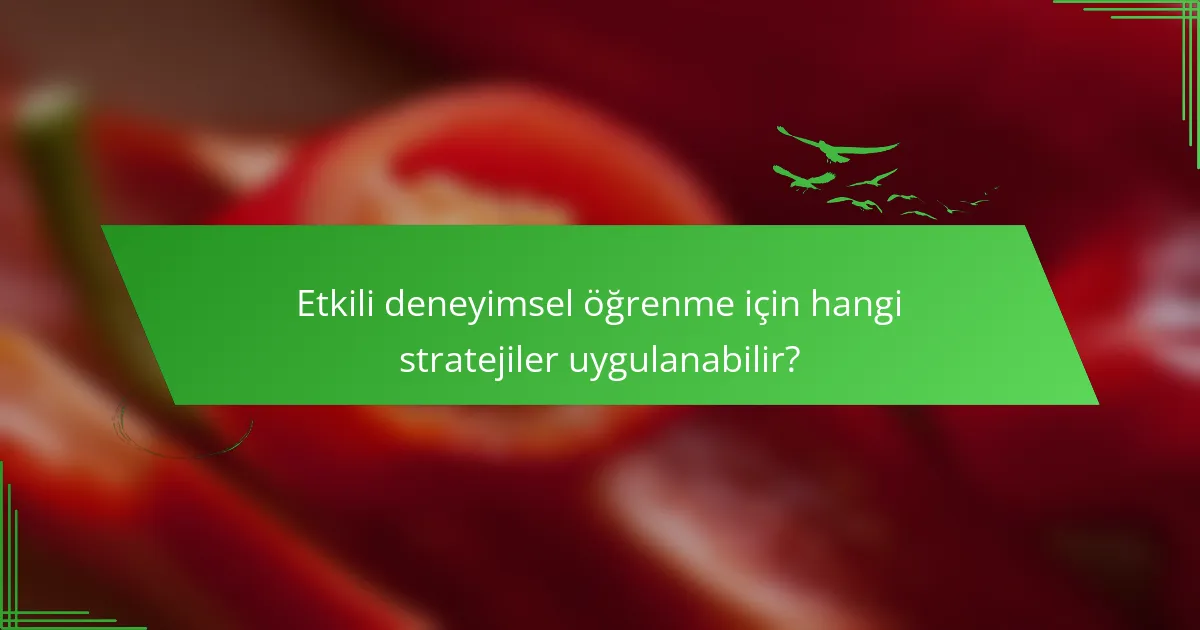 Etkili deneyimsel öğrenme için hangi stratejiler uygulanabilir?