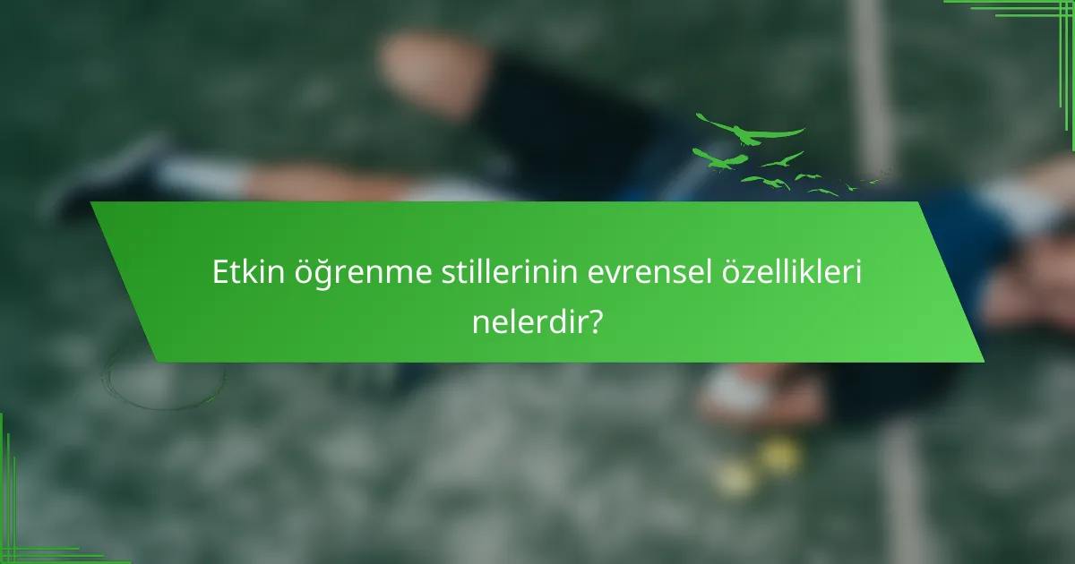 Etkin öğrenme stillerinin evrensel özellikleri nelerdir?