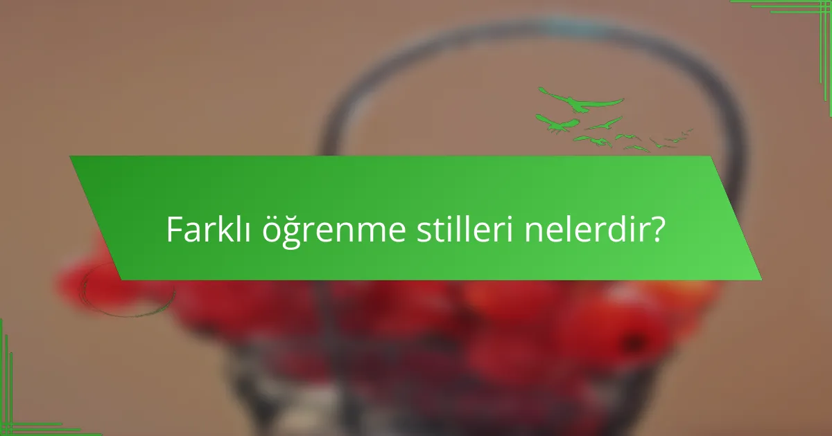 Farklı öğrenme stilleri nelerdir?