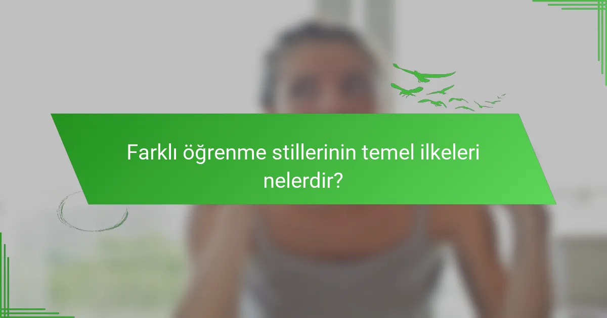 Farklı öğrenme stillerinin temel ilkeleri nelerdir?