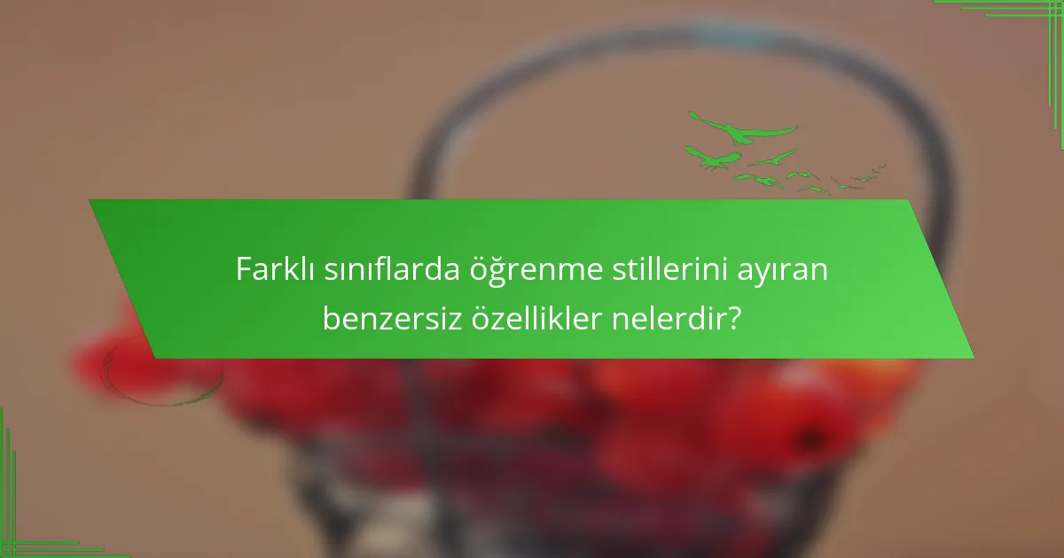 Farklı sınıflarda öğrenme stillerini ayıran benzersiz özellikler nelerdir?
