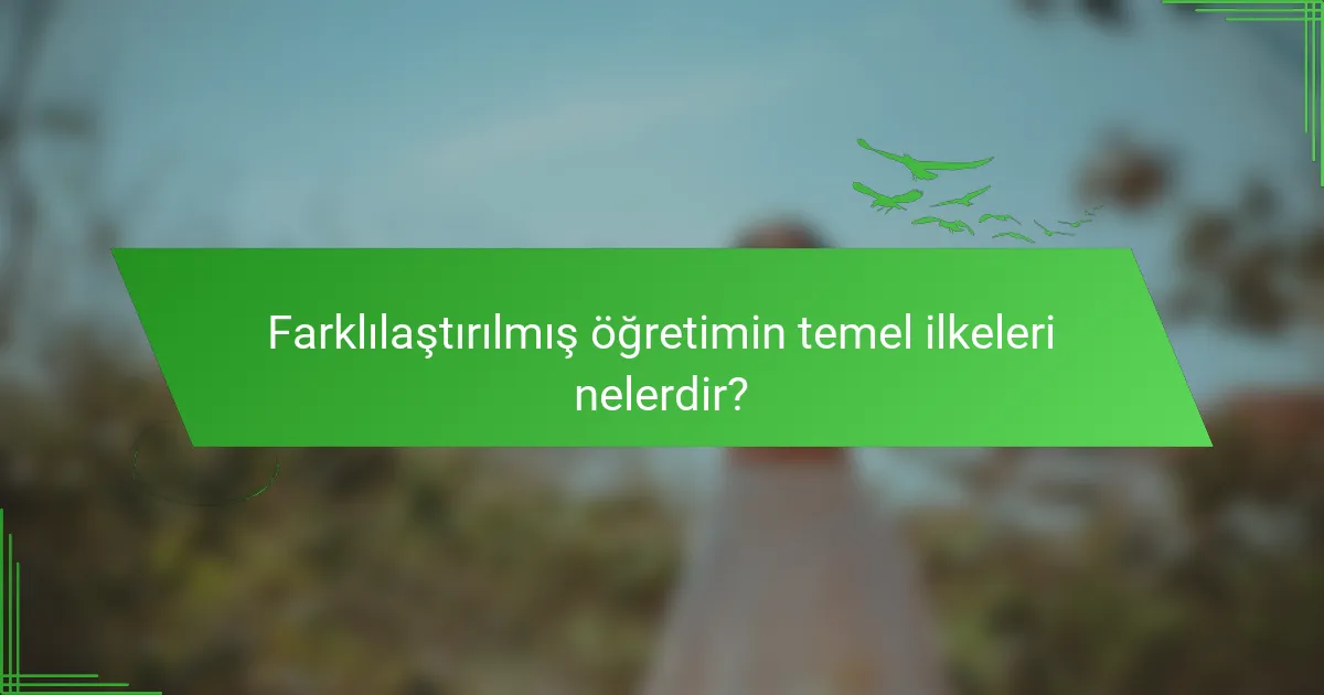 Farklılaştırılmış öğretimin temel ilkeleri nelerdir?