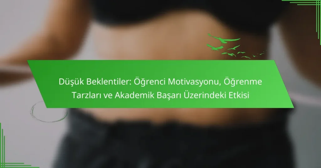 Düşük Beklentiler: Öğrenci Motivasyonu, Öğrenme Tarzları ve Akademik Başarı Üzerindeki Etkisi