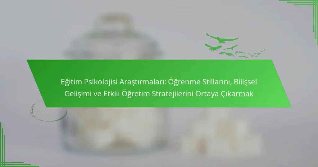 Eğitim Psikolojisi Araştırmaları: Öğrenme Stillarını, Bilişsel Gelişimi ve Etkili Öğretim Stratejilerini Ortaya Çıkarmak