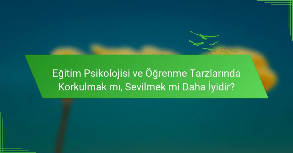 Eğitim Psikolojisi ve Öğrenme Tarzlarında Korkulmak mı, Sevilmek mi Daha İyidir?