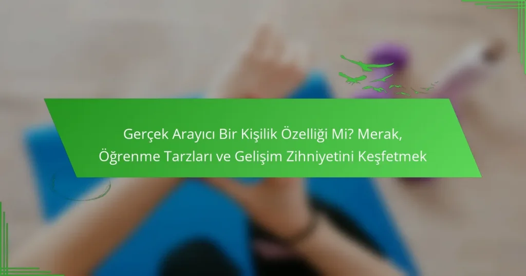 Gerçek Arayıcı Bir Kişilik Özelliği Mi? Merak, Öğrenme Tarzları ve Gelişim Zihniyetini Keşfetmek