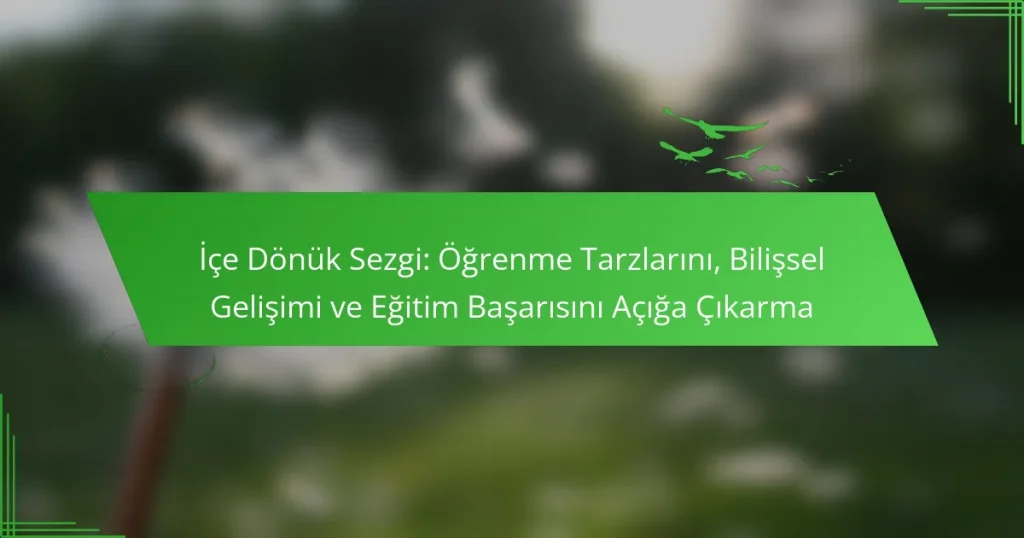 İçe Dönük Sezgi: Öğrenme Tarzlarını, Bilişsel Gelişimi ve Eğitim Başarısını Açığa Çıkarma