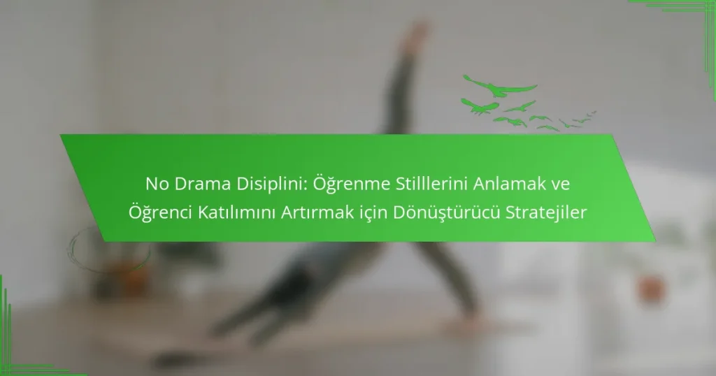 No Drama Disiplini: Öğrenme Stilllerini Anlamak ve Öğrenci Katılımını Artırmak için Dönüştürücü Stratejiler