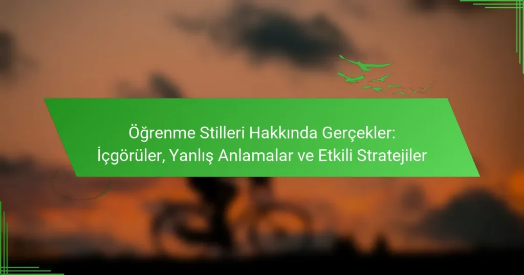 Öğrenme Stilleri Hakkında Gerçekler: İçgörüler, Yanlış Anlamalar ve Etkili Stratejiler