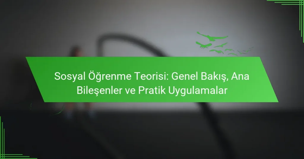 Sosyal Öğrenme Teorisi: Genel Bakış, Ana Bileşenler ve Pratik Uygulamalar