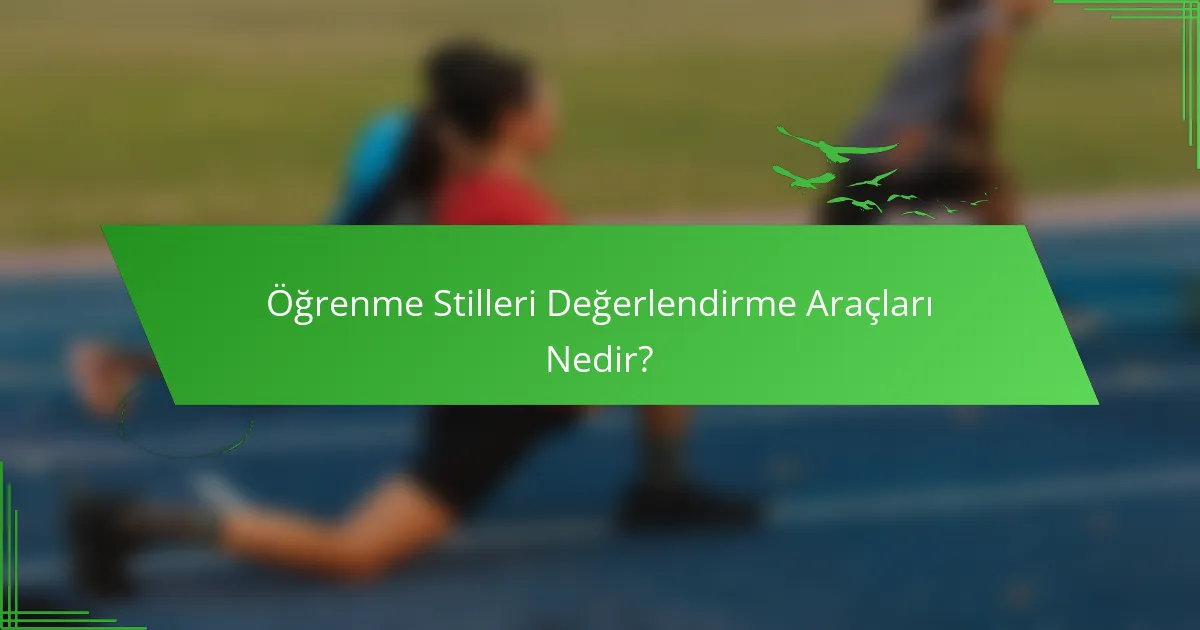 Öğrenme Stilleri Değerlendirme Araçları Nedir?