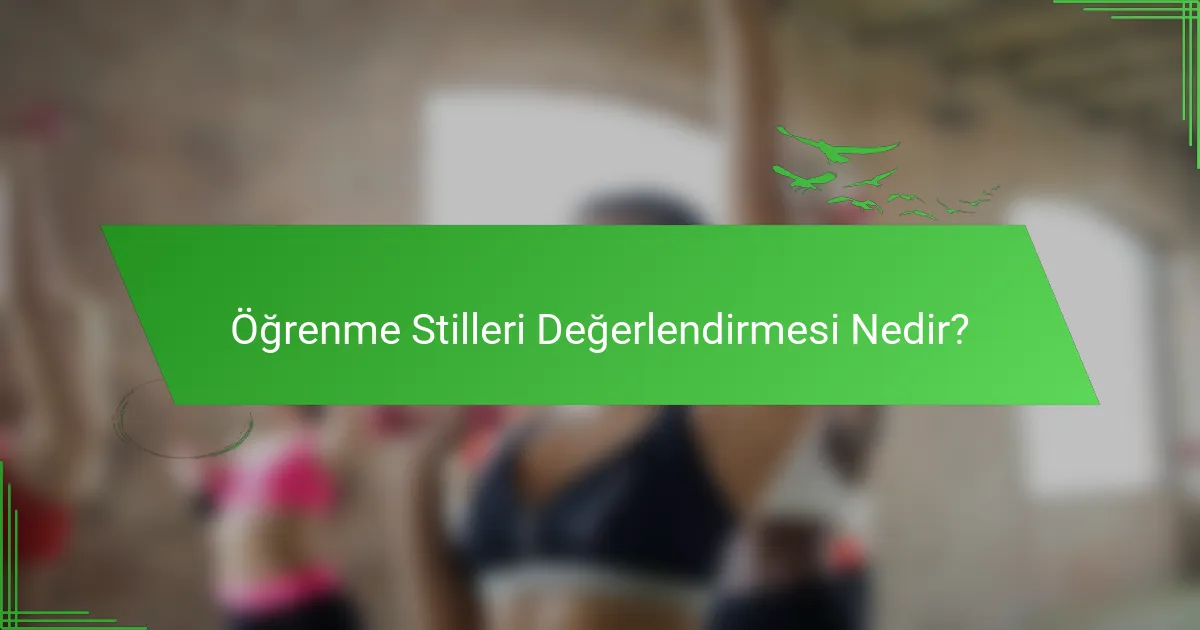 Öğrenme Stilleri Değerlendirmesi Nedir?