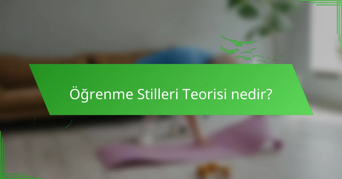 Öğrenme Stilleri Teorisi nedir?