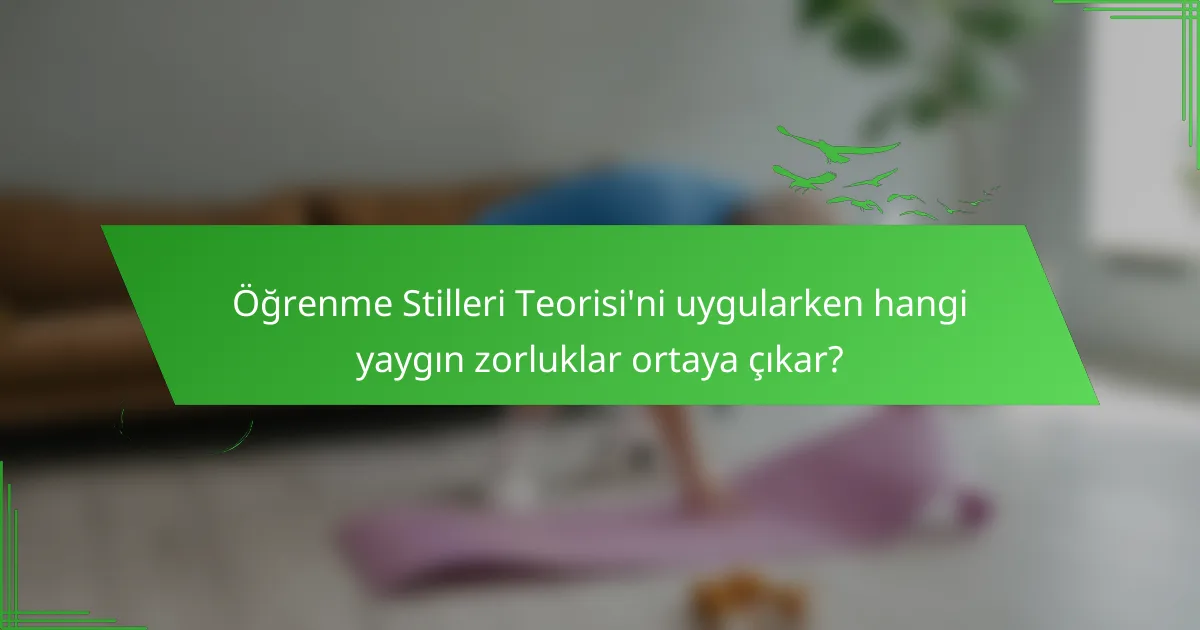 Öğrenme Stilleri Teorisi'ni uygularken hangi yaygın zorluklar ortaya çıkar?