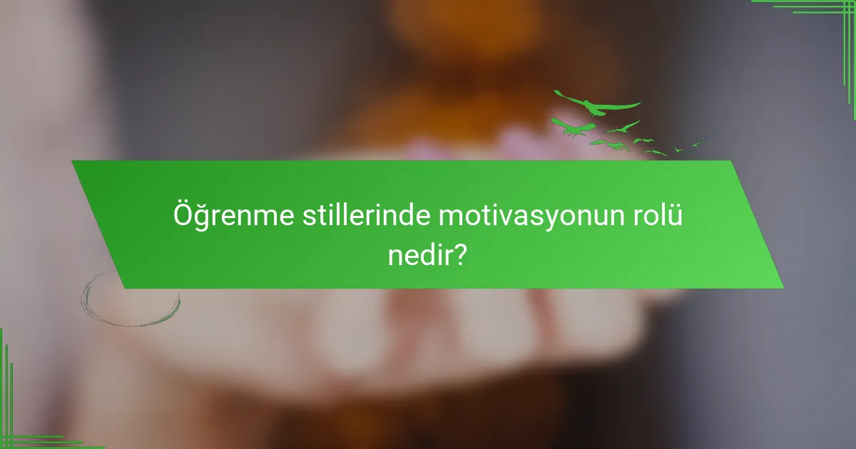 Öğrenme stillerinde motivasyonun rolü nedir?