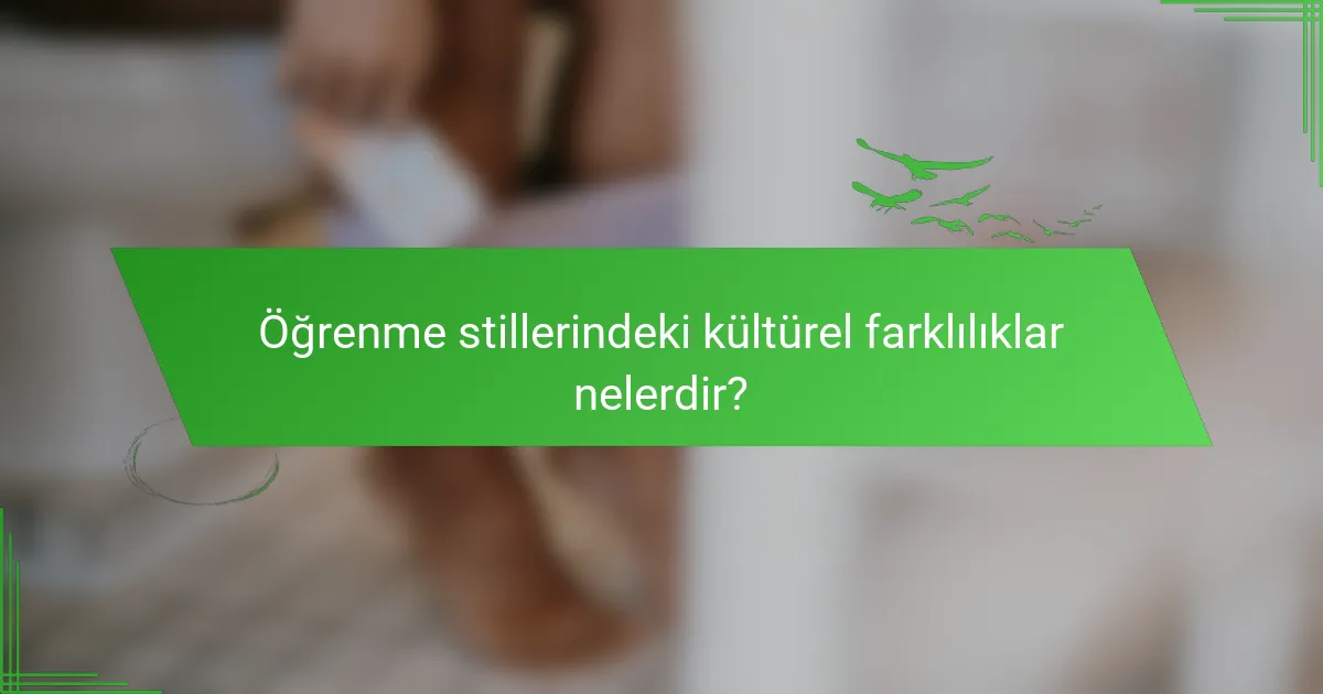 Öğrenme stillerindeki kültürel farklılıklar nelerdir?
