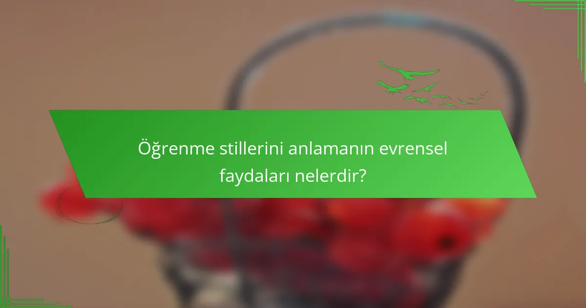 Öğrenme stillerini anlamanın evrensel faydaları nelerdir?