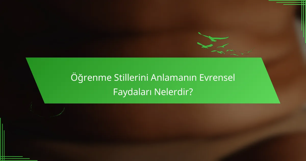 Öğrenme Stillerini Anlamanın Evrensel Faydaları Nelerdir?