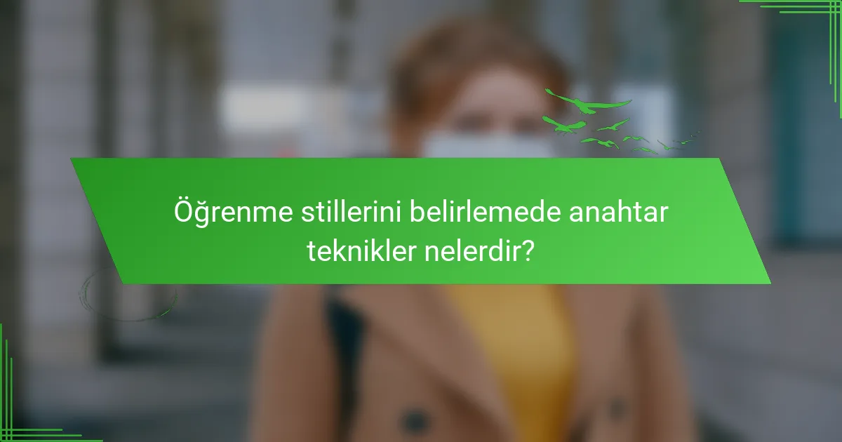 Öğrenme stillerini belirlemede anahtar teknikler nelerdir?