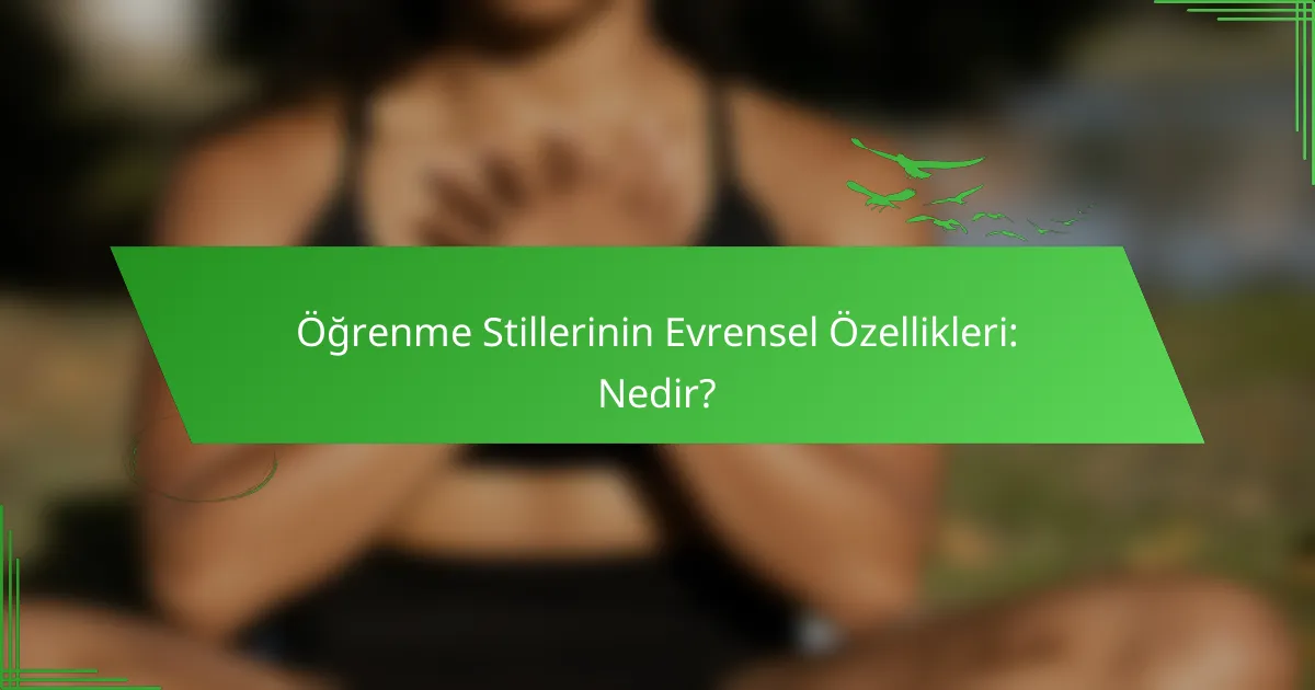 Öğrenme Stillerinin Evrensel Özellikleri: Nedir?
