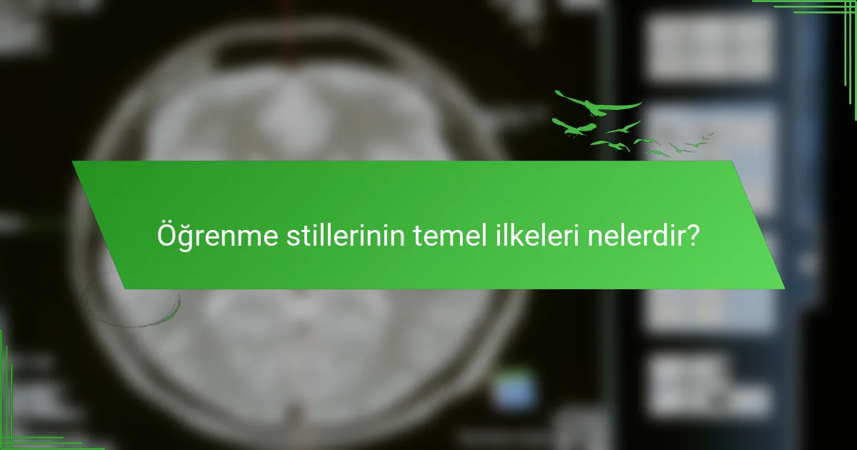 Öğrenme stillerinin temel ilkeleri nelerdir?