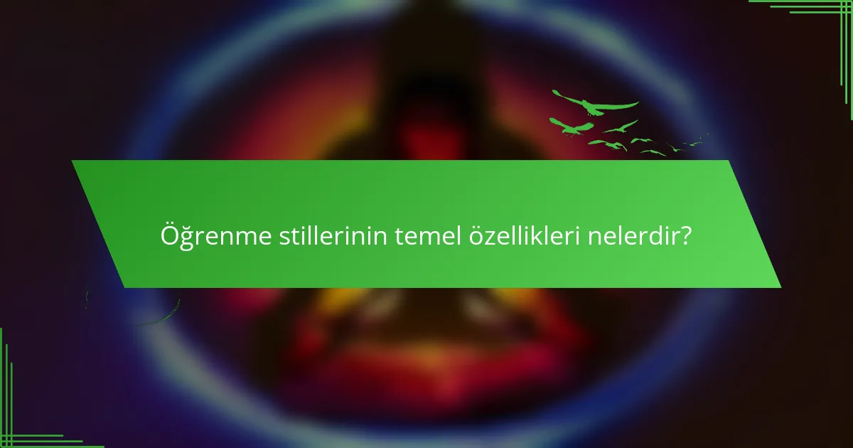 Öğrenme stillerinin temel özellikleri nelerdir?