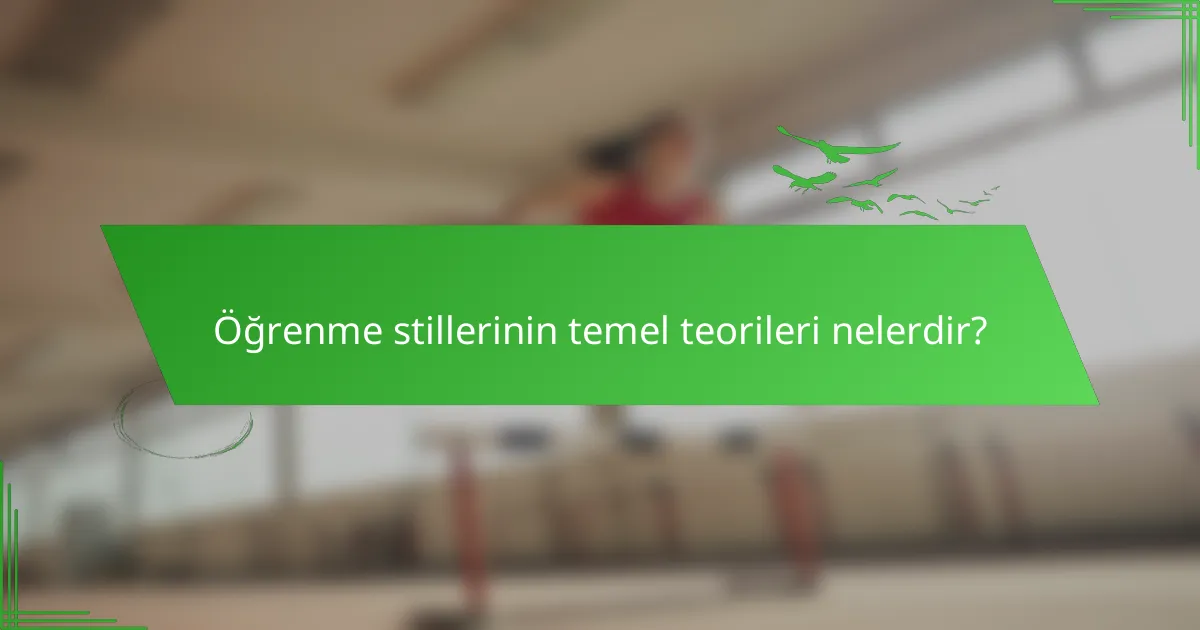 Öğrenme stillerinin temel teorileri nelerdir?