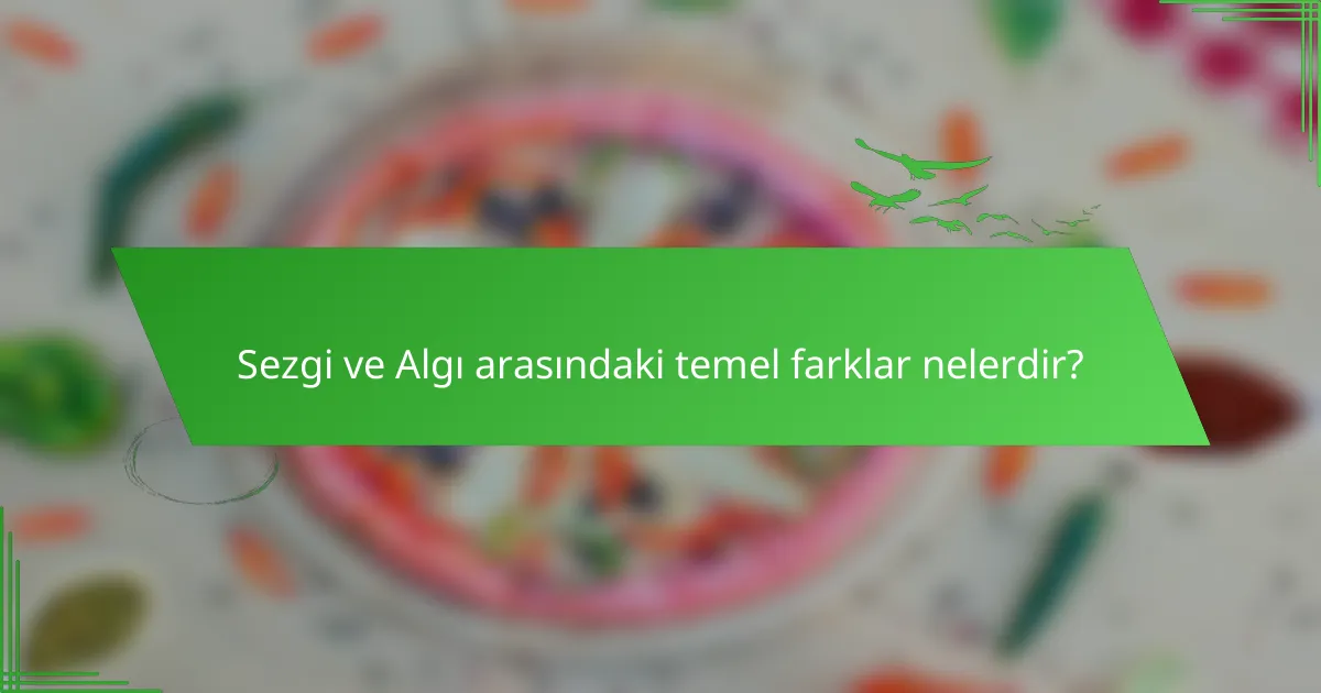Sezgi ve Algı arasındaki temel farklar nelerdir?