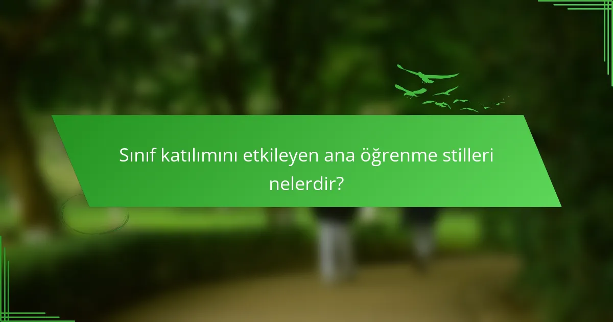 Sınıf katılımını etkileyen ana öğrenme stilleri nelerdir?