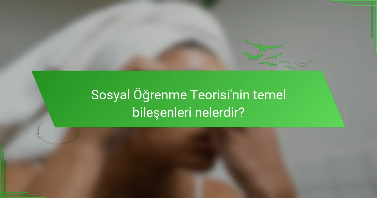 Sosyal Öğrenme Teorisi'nin temel bileşenleri nelerdir?